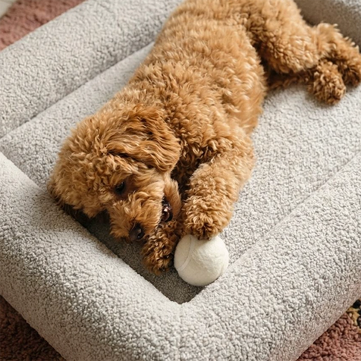 Premium Orthopedic Memory Foam Dog Bed - Grey Bouclé (Medium)