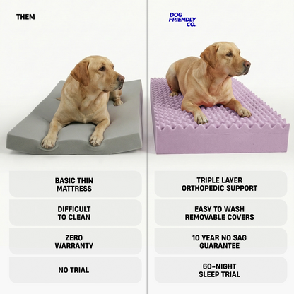 Grey orthopedic memory foam dog bed showing the soft outer cover, raised sides and supportive foam construction.