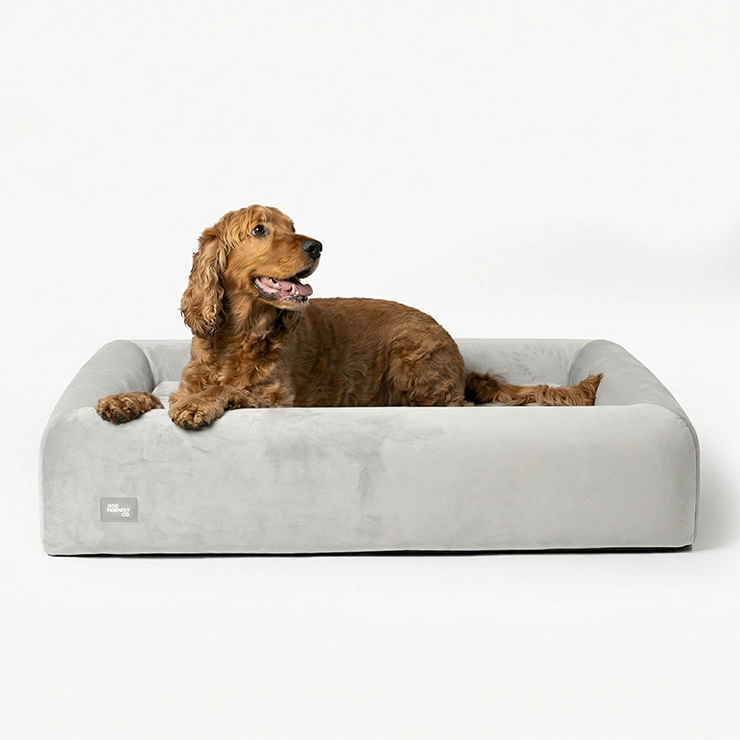 Premium Orthopedic Memory Foam Dog Bed - Grey (Small)