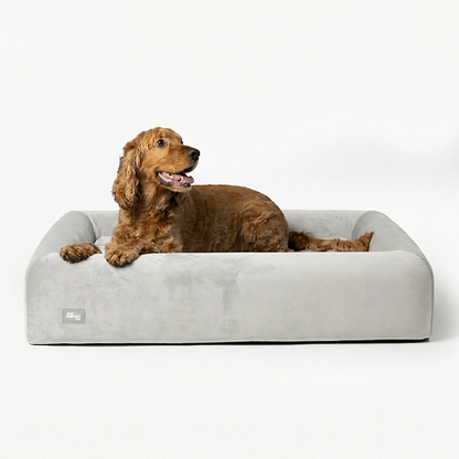 Premium Orthopedic Memory Foam Dog Bed - Grey (Small) (LP)