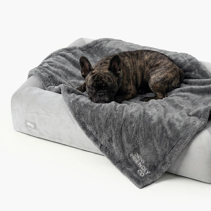 Premium Orthopedic Memory Foam Dog Bed - Grey (Large) (LP)