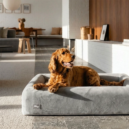 Premium Orthopedic Memory Foam Dog Bed - Grey (Medium) (LP)