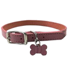 Tactical Dog Collar - Classic Blue