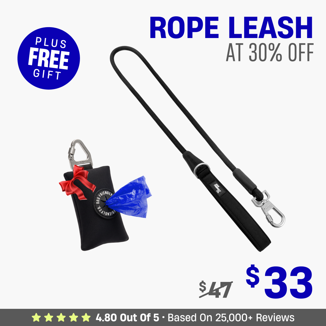 Get Leash at 30% OFF + FREE Poop Bag Holder