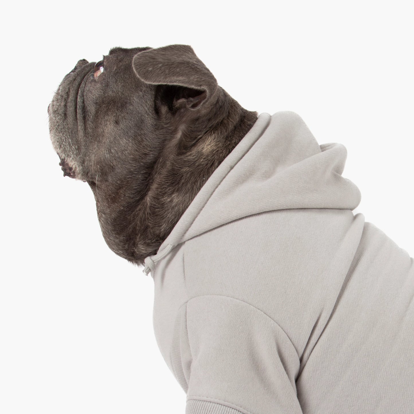 Signature Dog Hoodie - Grey