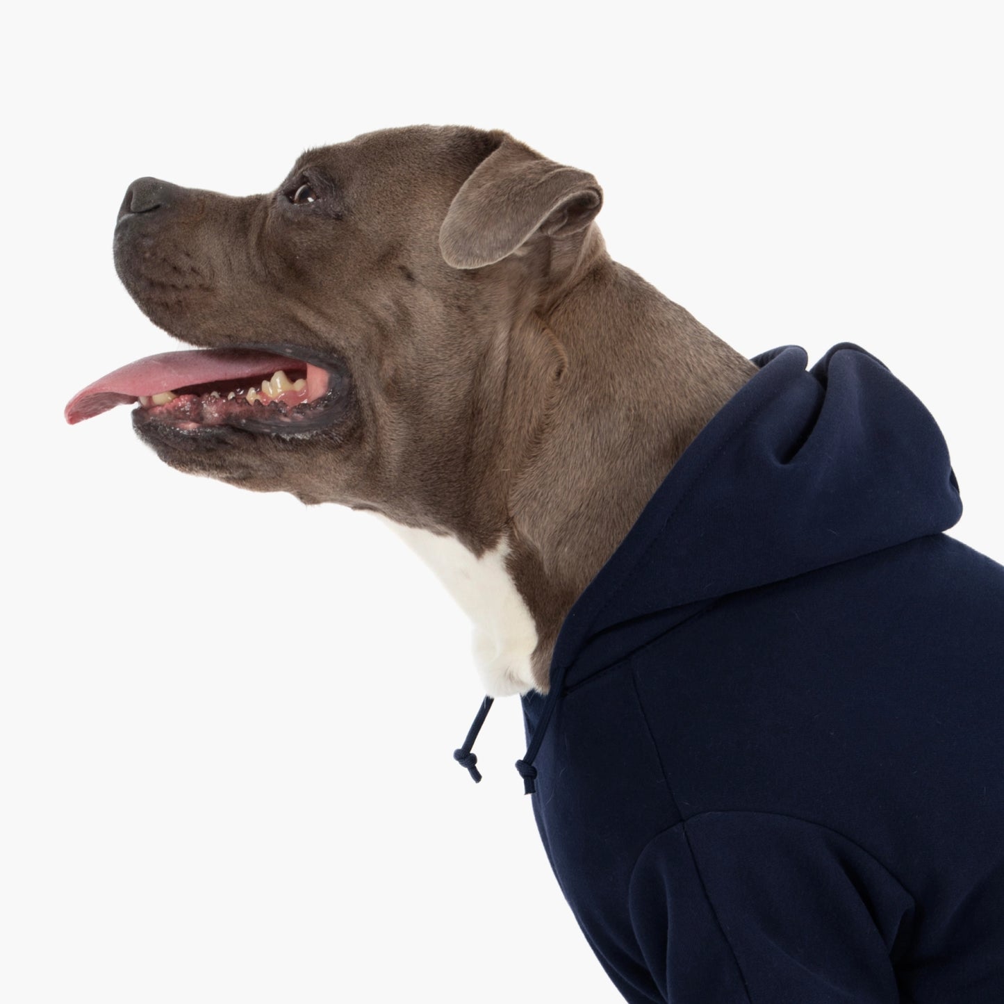 Signature Dog Hoodie - Navy Blue