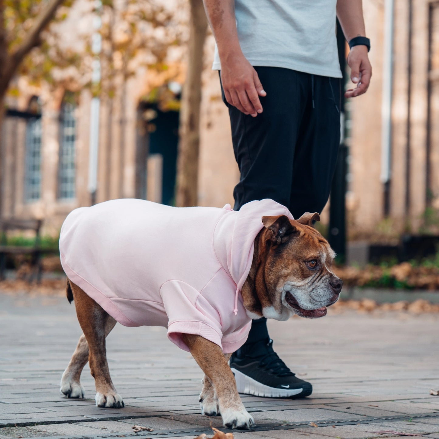 Signature Dog Hoodie - Pink