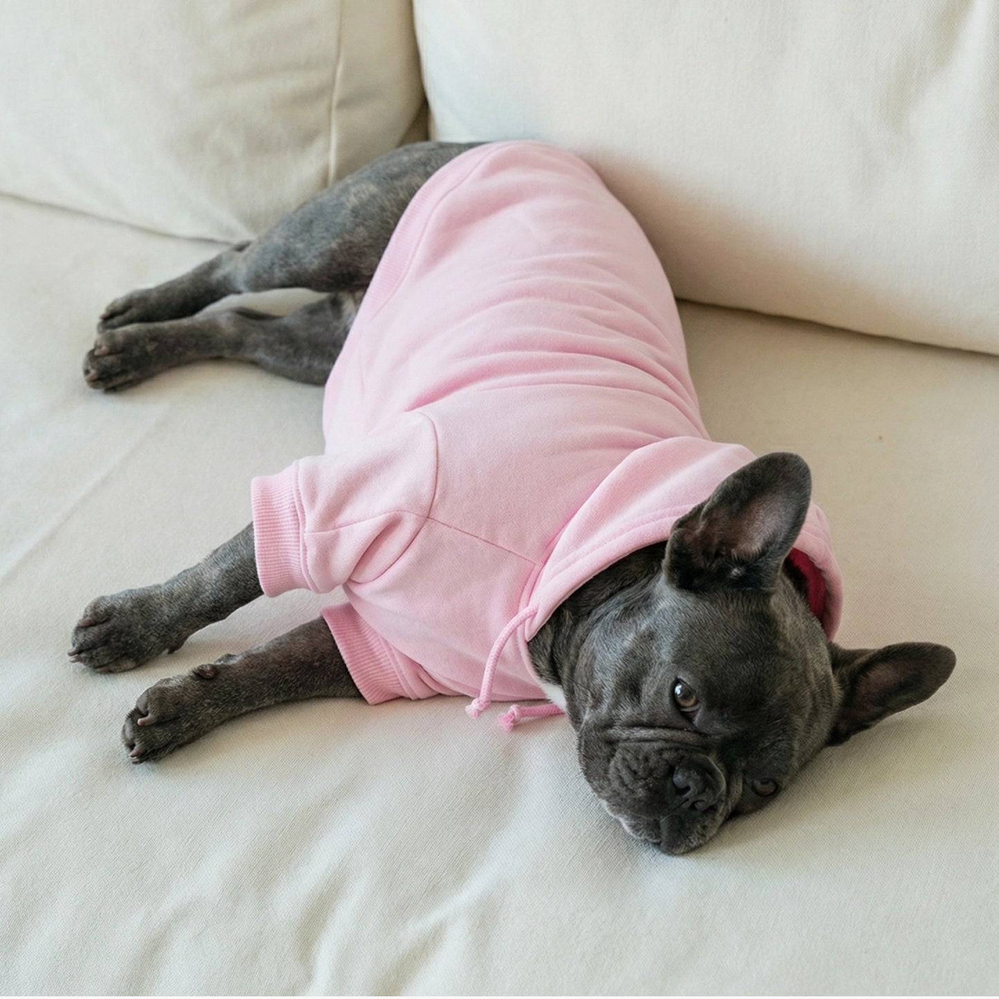 Signature Dog Hoodie - Pink