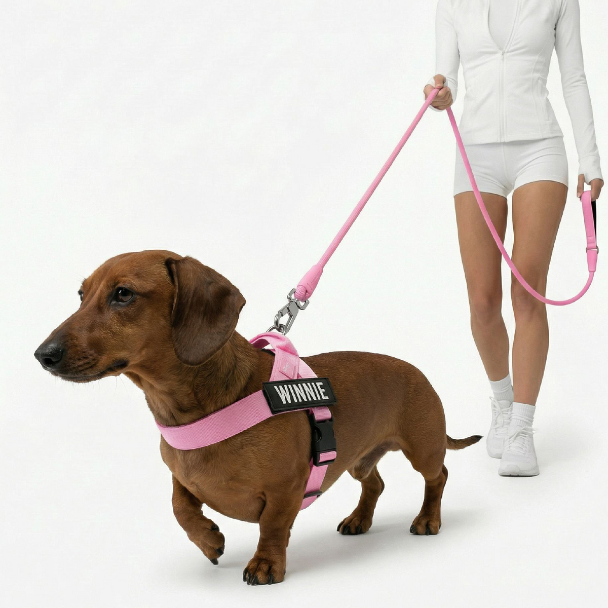 Signature Kit