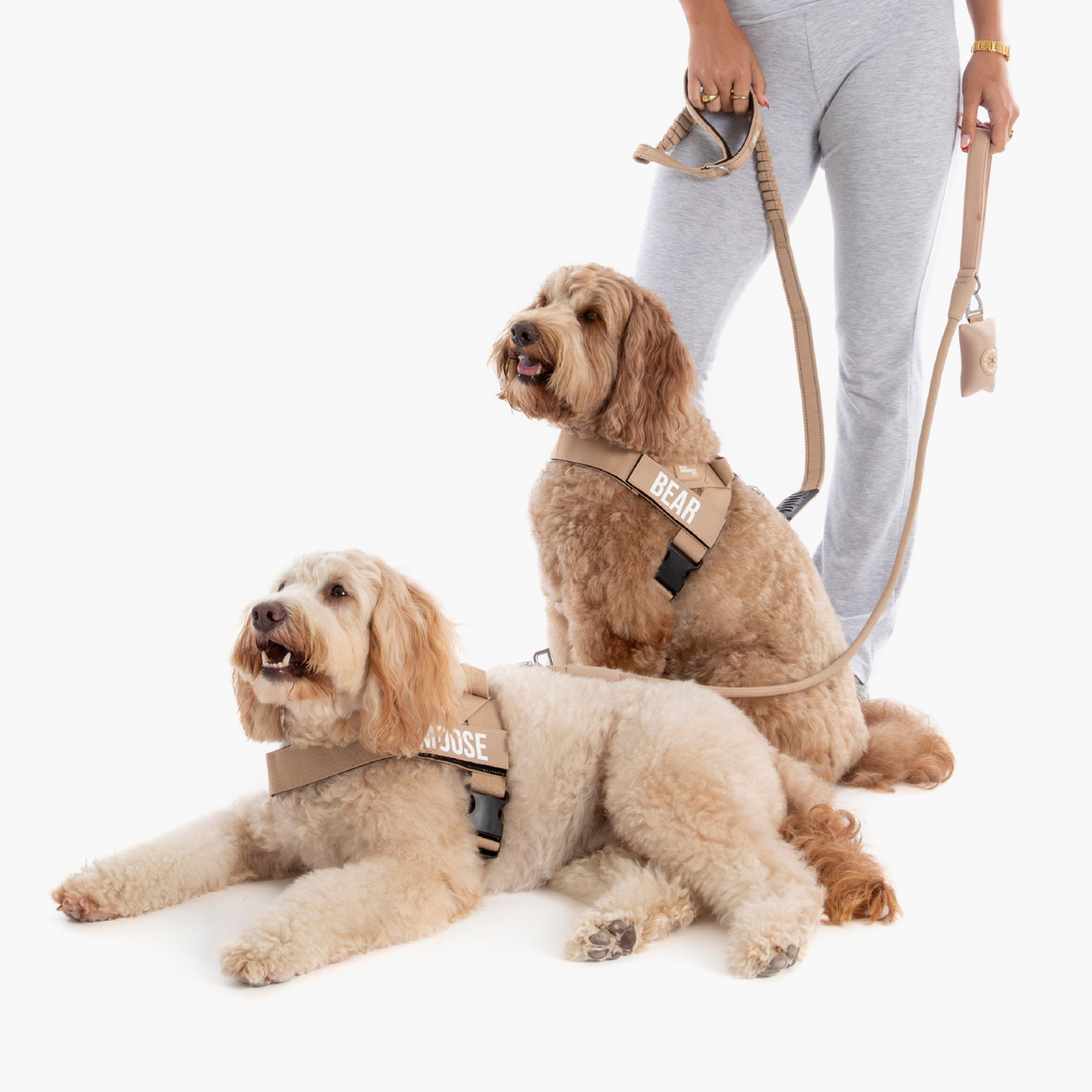 Signature Kit