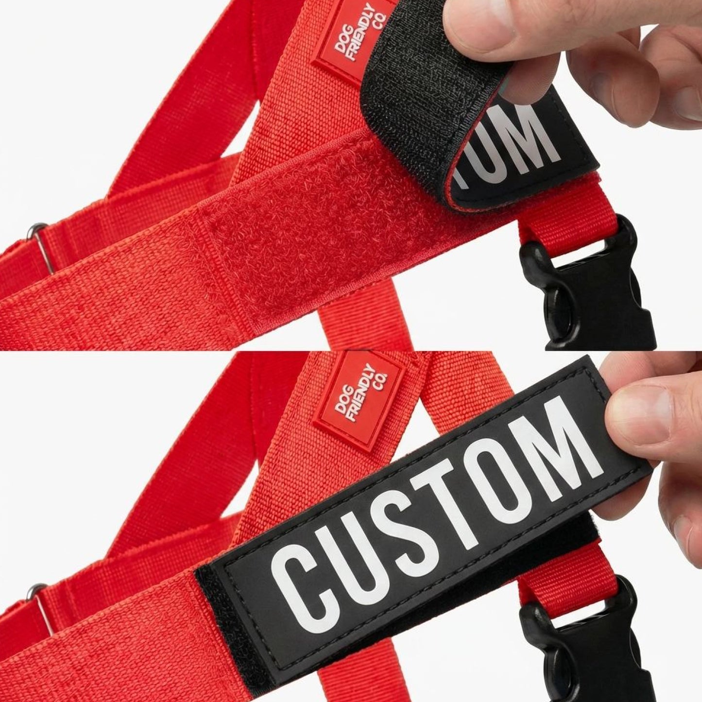Signature Kit - Red - FREE D-Ring