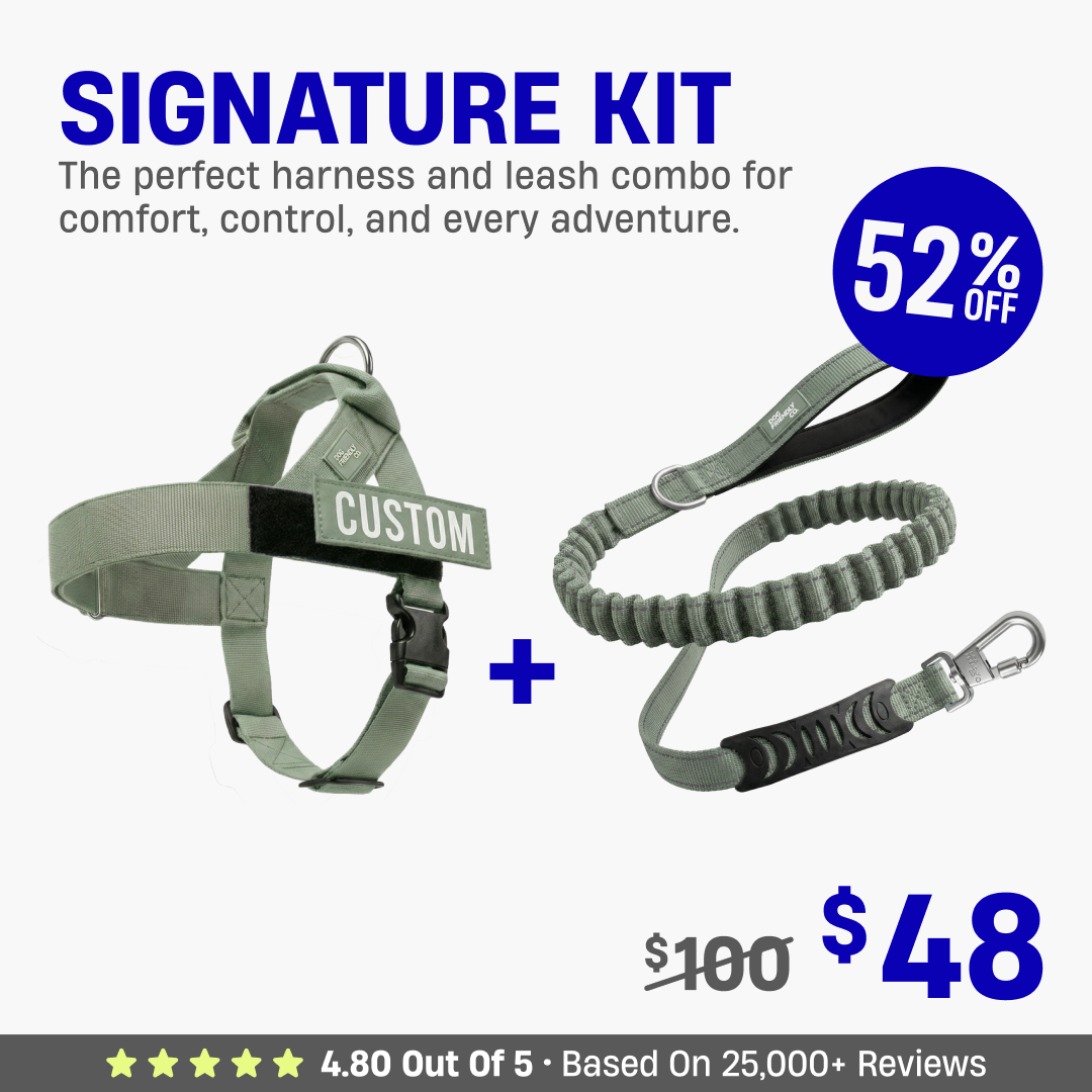 Signature Kit - 52% OFF