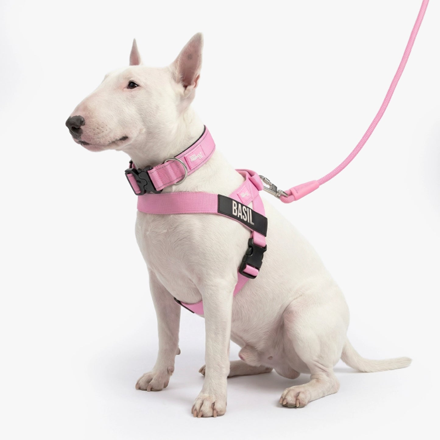 Ultimate No-Pull Bundle - Pink
