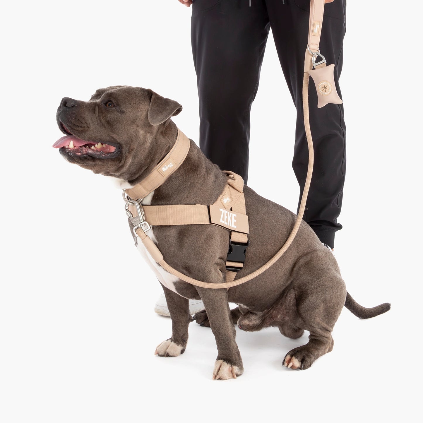 Ultimate No-Pull Bundle - Brown