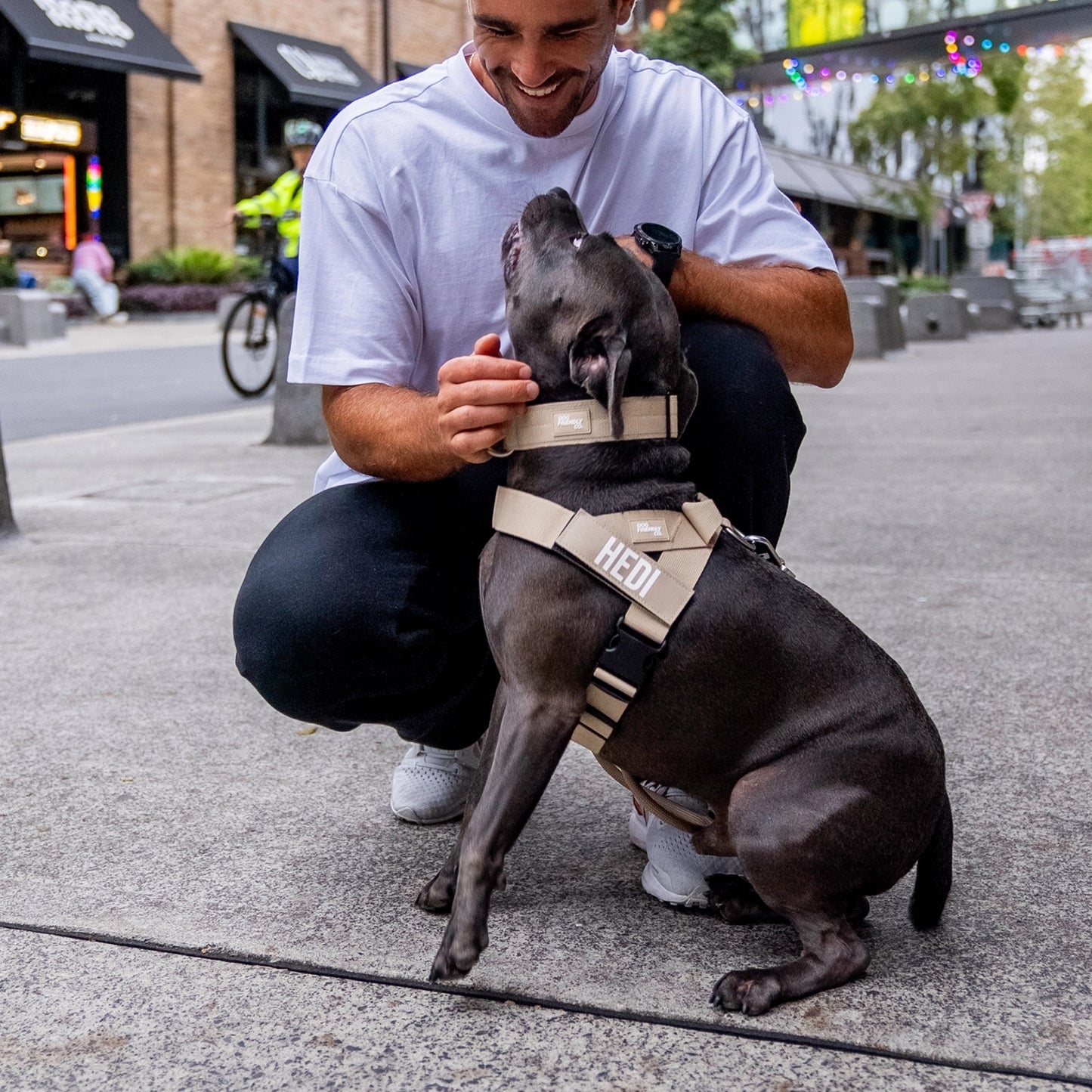 Ultimate No-Pull Bundle - Brown