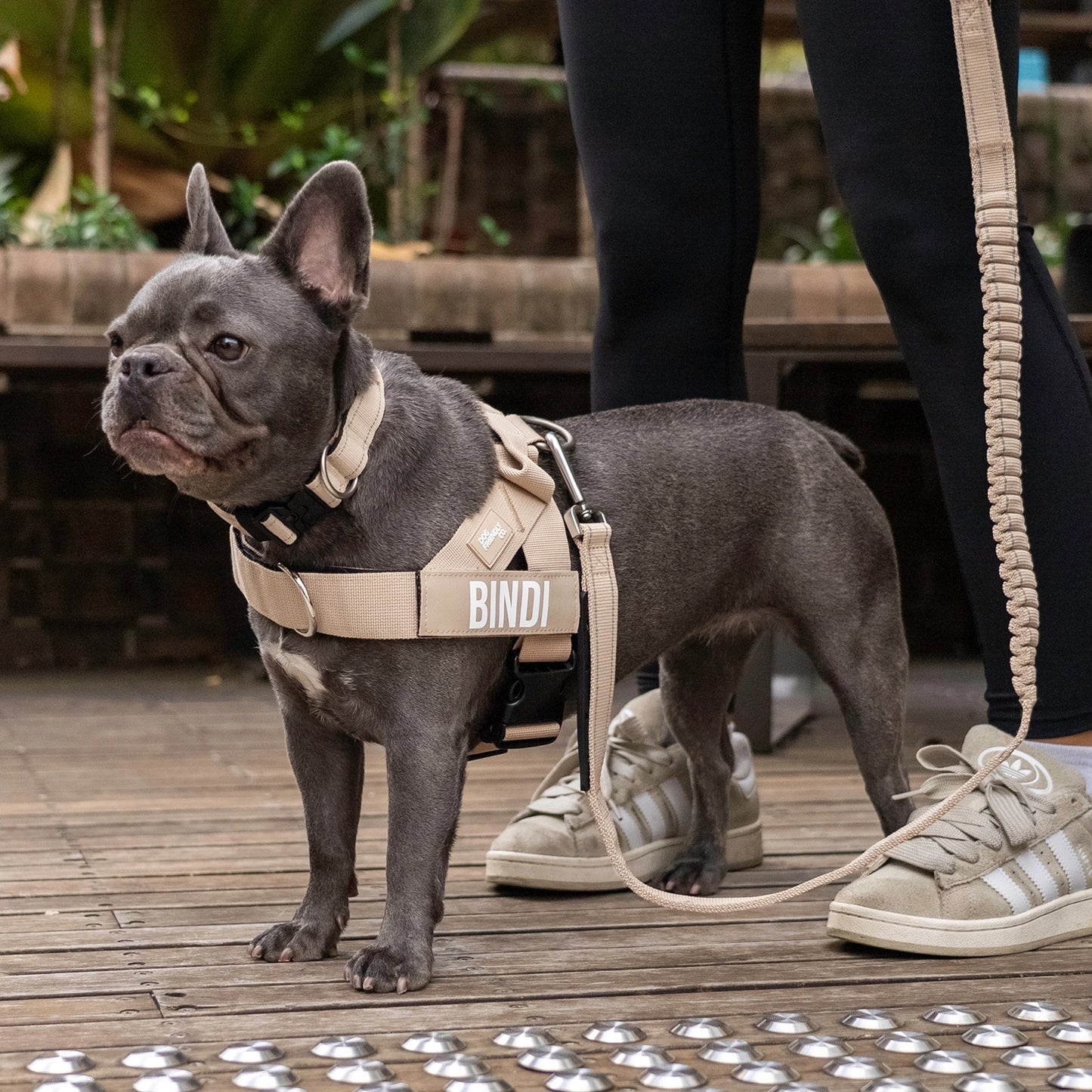 Ultimate No-Pull Bundle - Brown