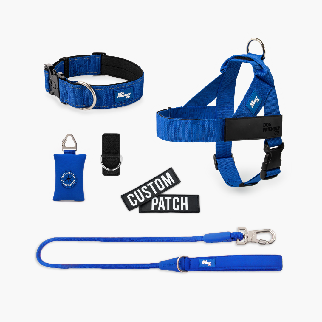 Walk Essentials - Classic Blue