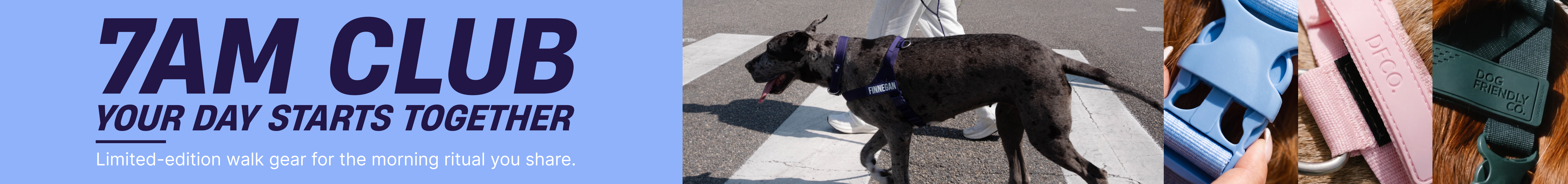 Leashes
