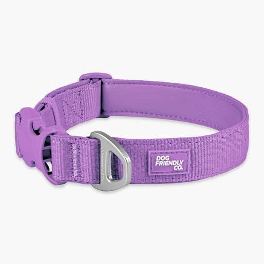 Essentials Collar - Purple