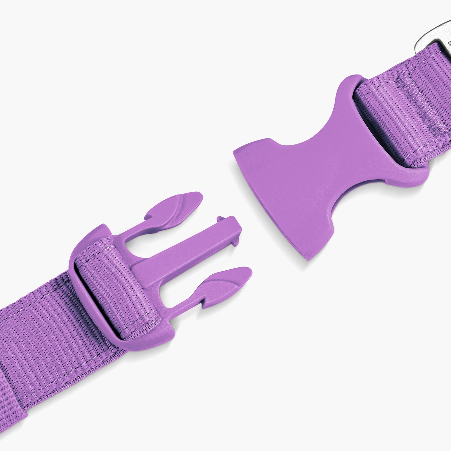 Essentials Collar - Purple