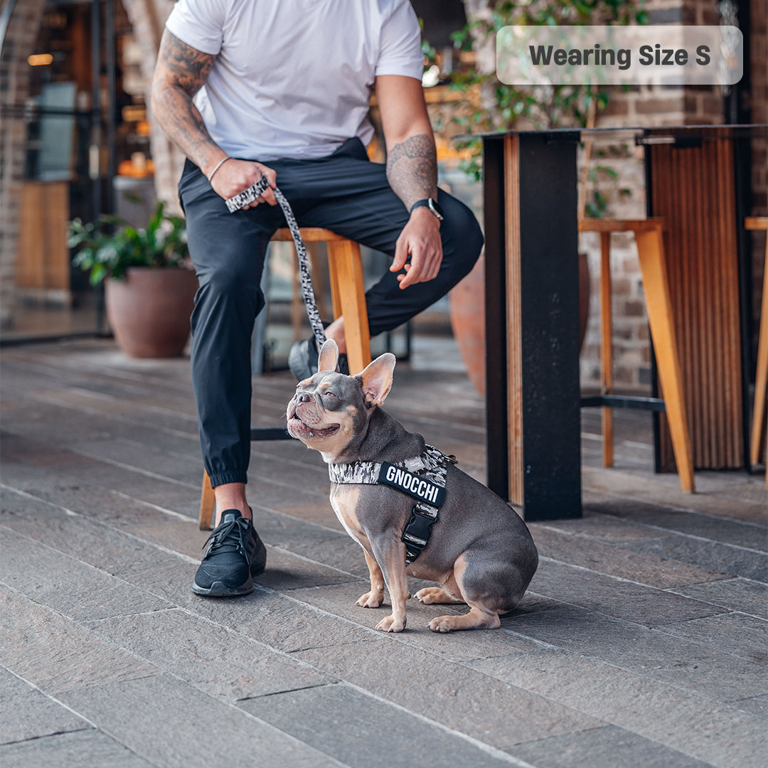 Signature Kit - Grey Camo