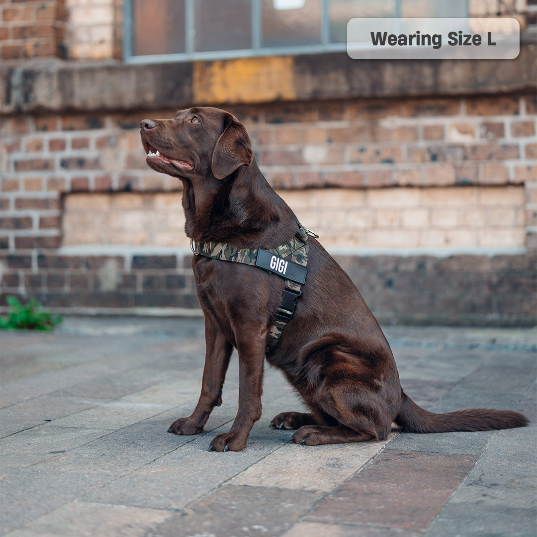 Dog Harness - Green Camo