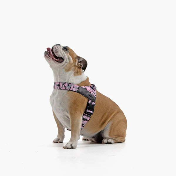 Dog Harness + FREE D-ring