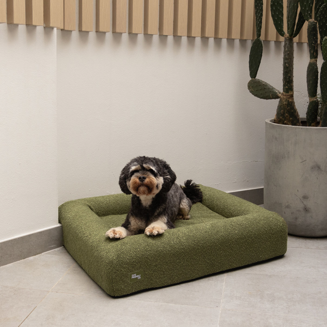 Premium Orthopedic Memory Foam Dog Bed - Green Bouclé (Large)