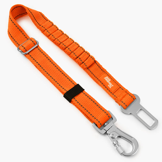 Dog Seat Belt - Hi-Vis Orange