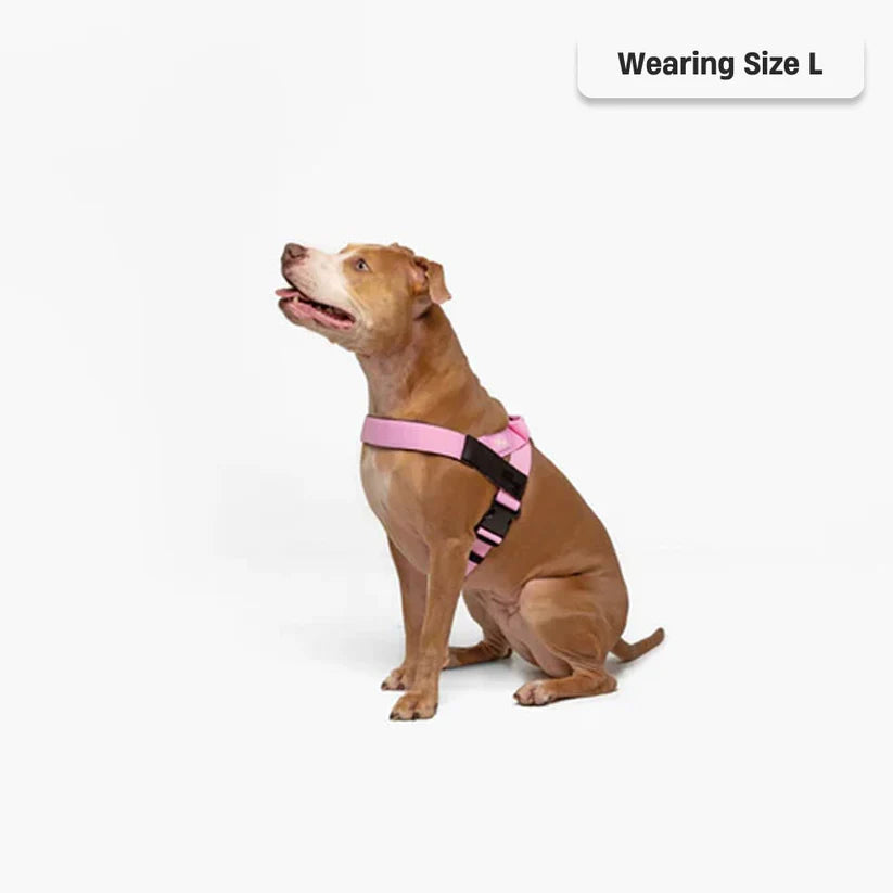Dog Harness + FREE D-ring
