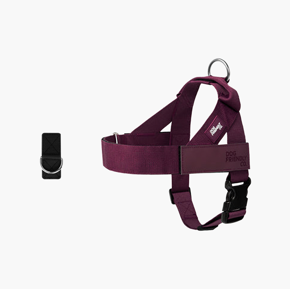 Dog Harness + FREE D-ring