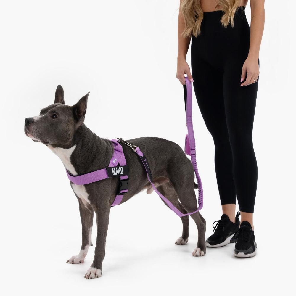 Dog Lovers Pack - Purple