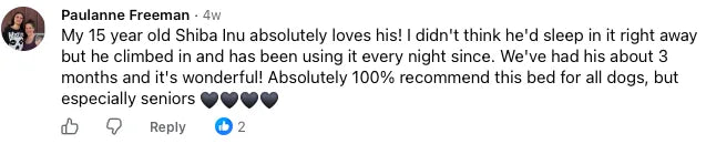 Customer review from Paulanne Freeman about her 15-year-old Shiba Inu using the bed every night.