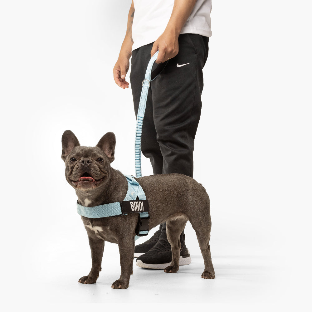 Signature Kit - Sky Blue