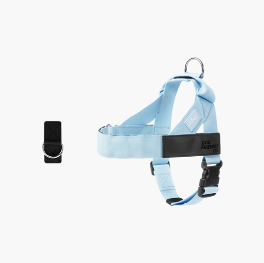 Dog Harness + FREE D-ring